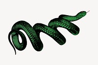 Coiled green snake clipart, vintage hand drawn vector. Free public domain CC0 image.