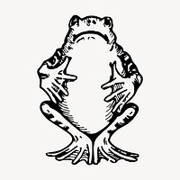 Frog animal clipart, vintage hand drawn vector. Free public domain CC0 image.