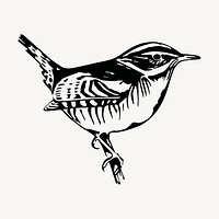 Perched bird clipart, vintage hand drawn vector. Free public domain CC0 image.