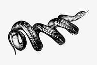 Coiled snake clipart, vintage hand drawn vector. Free public domain CC0 image.