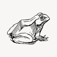 Frog clipart, drawing illustration vector. Free public domain CC0 image.