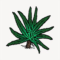 Fern  clipart, vintage hand drawn vector. Free public domain CC0 image.