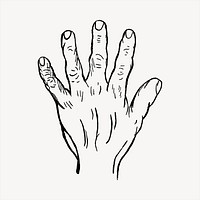 Back of hand  clipart, vintage hand drawn vector. Free public domain CC0 image.