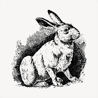 Rabbit clipart, vintage hand drawn vector. Free public domain CC0 image.