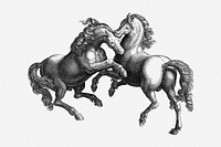 Horses, vintage drawing illustration. Free public domain CC0 image.