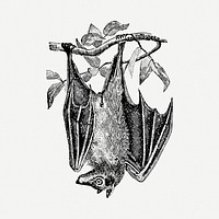 Hanging bat collage element, black & white illustration psd. Free public domain CC0 image.