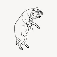 Pig clipart, vintage illustration vector. Free public domain CC0 image.