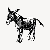 Donkey clipart, vintage illustration vector. Free public domain CC0 image.