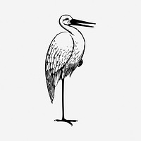 Stork, black & white illustration. Free public domain CC0 image.