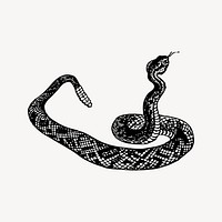 Snake clipart, vintage illustration vector. Free public domain CC0 image.