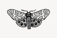 Moth clipart, vintage illustration vector. Free public domain CC0 image.