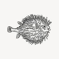 Blowfish clipart, vintage illustration vector. Free public domain CC0 image.