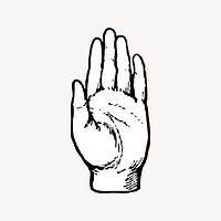 Palm hand clipart, vintage illustration vector. Free public domain CC0 image.