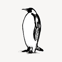 Penguin clipart, vintage illustration vector. Free public domain CC0 image.