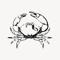 Crab clipart, vintage illustration vector. 
