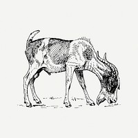 Goat collage element, black & white illustration psd. Free public domain CC0 image.