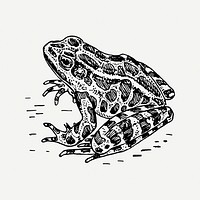 Frog collage element, black & white illustration psd. Free public domain CC0 image.