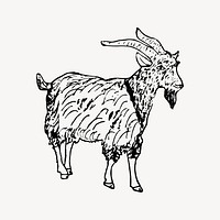 Goat clipart, vintage illustration vector. Free public domain CC0 image.