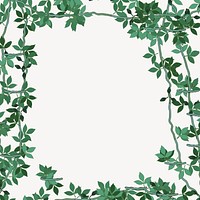 Leaf frame clipart, Spring illustration vector. Free public domain CC0 image