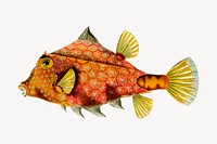 Exotic fish clipart, animal illustration vector. Free public domain CC0 image