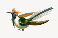Bird clipart, animal illustration psd. Free public domain CC0 image