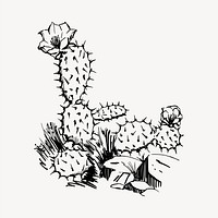 Cactus clipart illustration vector. Free public domain CC0 image