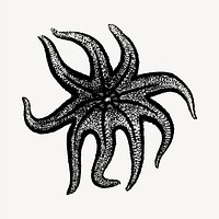 Starfish clipart, animal illustration vector. Free public domain CC0 image
