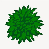 Bush top view clipart, botanical illustration vector. Free public domain CC0 image