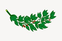 Laurel branch clipart, botanical illustration vector. Free public domain CC0 image