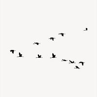 Bird silhouette clipart, animal illustration vector. Free public domain CC0 image