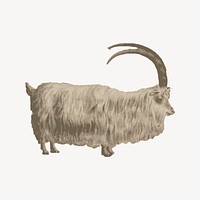 Mountain goat collage element vector. Free public domain CC0 image.