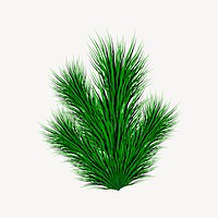 Pine leaf clipart, nature illustration psd. Free public domain CC0 image.