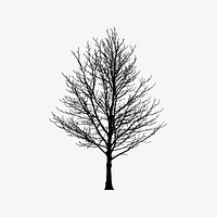 Leafless tree collage element vector. Free public domain CC0 image.