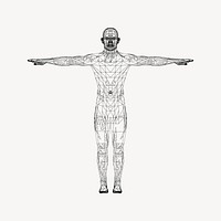 Human anatomy clipart vector. Free public domain CC0 image