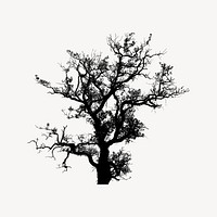 Tree silhouette clipart, botanical illustration vector. Free public domain CC0 image