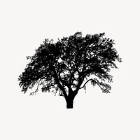 Tree silhouette clipart, botanical illustration vector. Free public domain CC0 image