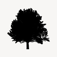 Tree silhouette clipart, botanical illustration vector. Free public domain CC0 image