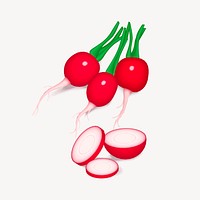 Radishes clipart, vegetable illustration vector. Free public domain CC0 image.
