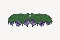 Grapes clipart, fruit illustration vector. Free public domain CC0 image.