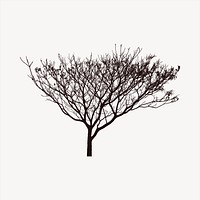 Leafless tree clipart, black and white illustration psd. Free public domain CC0 image.
