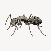 Ant collage element, animal illustration vector. Free public domain CC0 image.