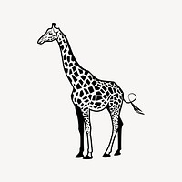 Giraffe drawing, black and white illustration vector. Free public domain CC0 image.