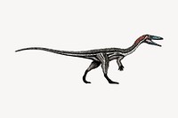 Coelophysis dinosaur illustration, black and white drawing. Free public domain CC0 image.