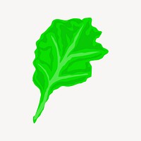 Lettuce collage element, cute illustration vector. Free public domain CC0 image.