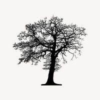 Leafless tree silhouette clipart, nature illustration vector. Free public domain CC0 image.