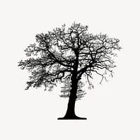 Leafless tree silhouette illustration psd. Free public domain CC0 image.