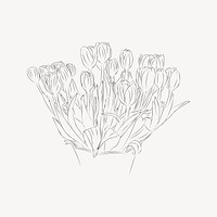 Tulips line art illustration, black and white drawing. Free public domain CC0 image.