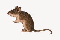 Rat collage element, cute illustration vector. Free public domain CC0 image.