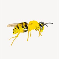 Wasp clipart animal illustration psd. Free public domain CC0 image.