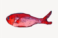 Red sea bass clipart, seafood illustration vector. Free public domain CC0 image.